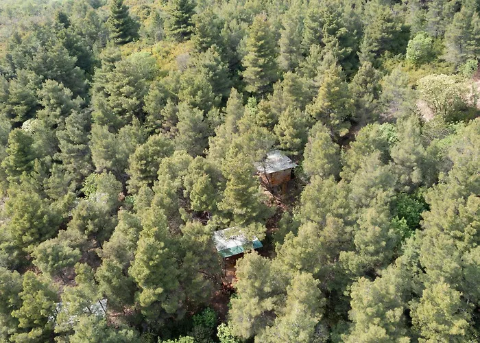 Treehouses Ljubac Glamping Robinson
