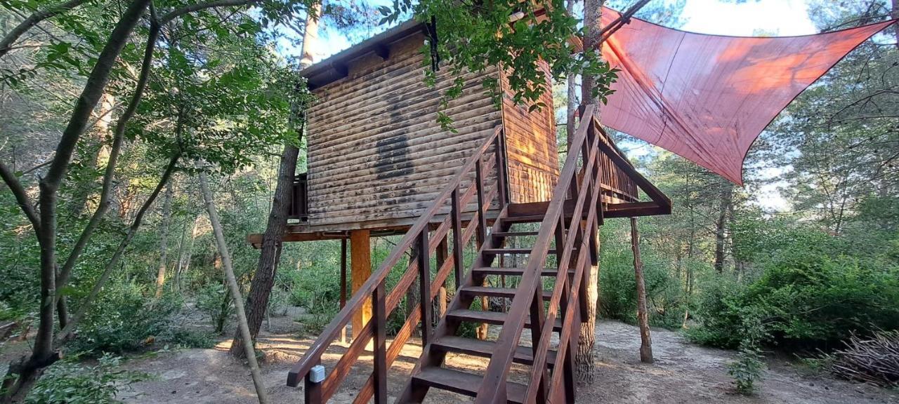 Treehouses Glamping Robinson *