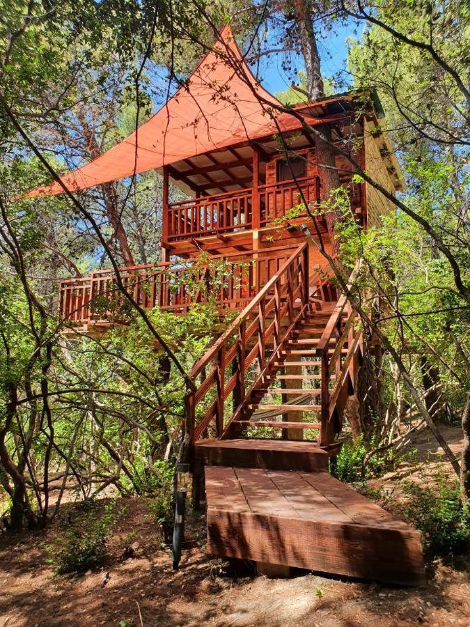 Hébergement de vacances Treehouses Glamping Robinson Ljubač