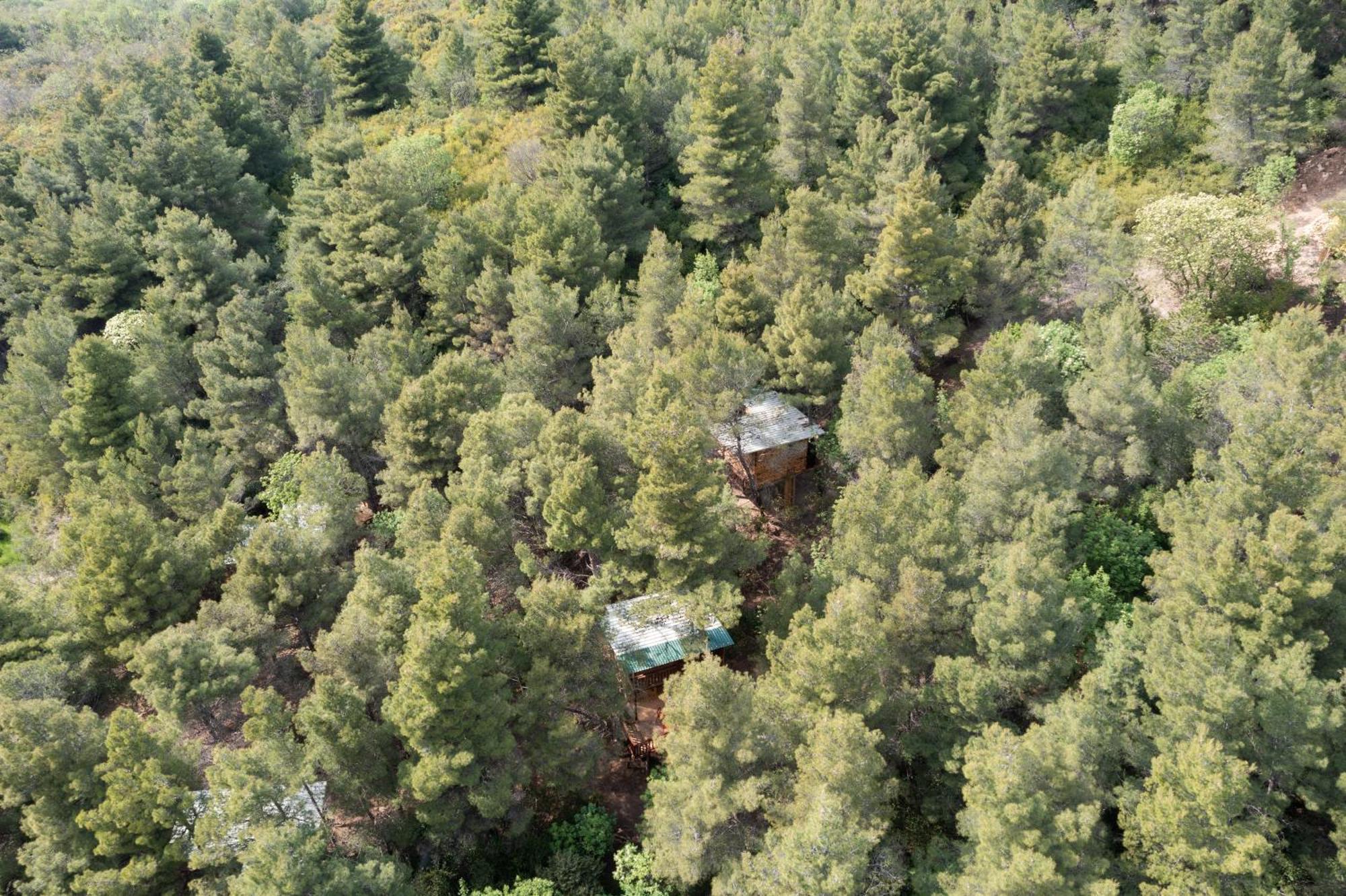 Hébergement de vacances Treehouses Glamping Robinson Ljubač